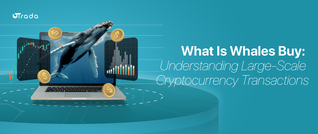 Read more about the article What is Whales Buy?